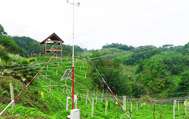 Solar power supply system for agricultural monitoring